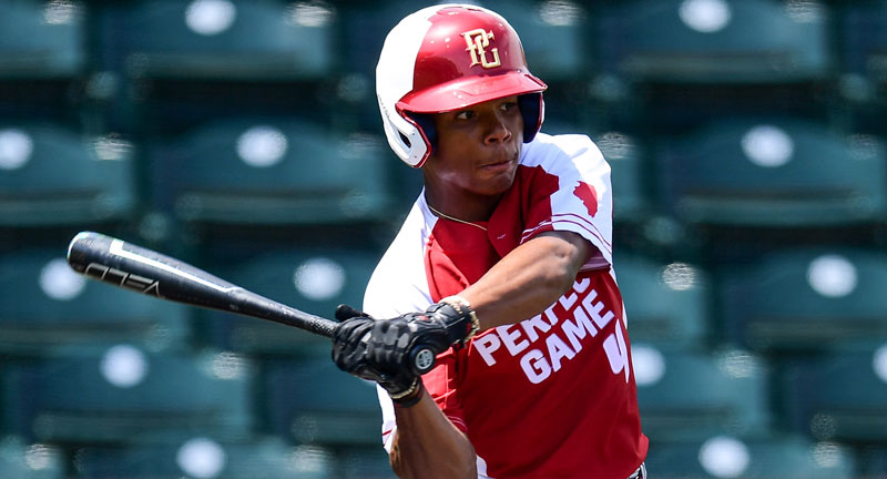 Image with missing alt attribute found on perfectgame.org