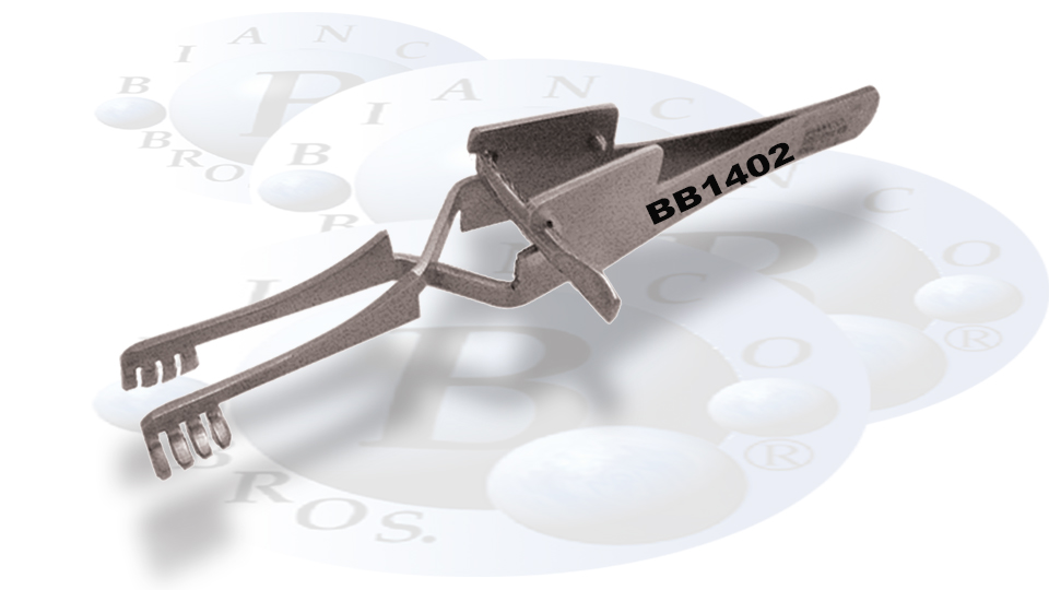 Image with missing alt attribute found on biancobrothers.com