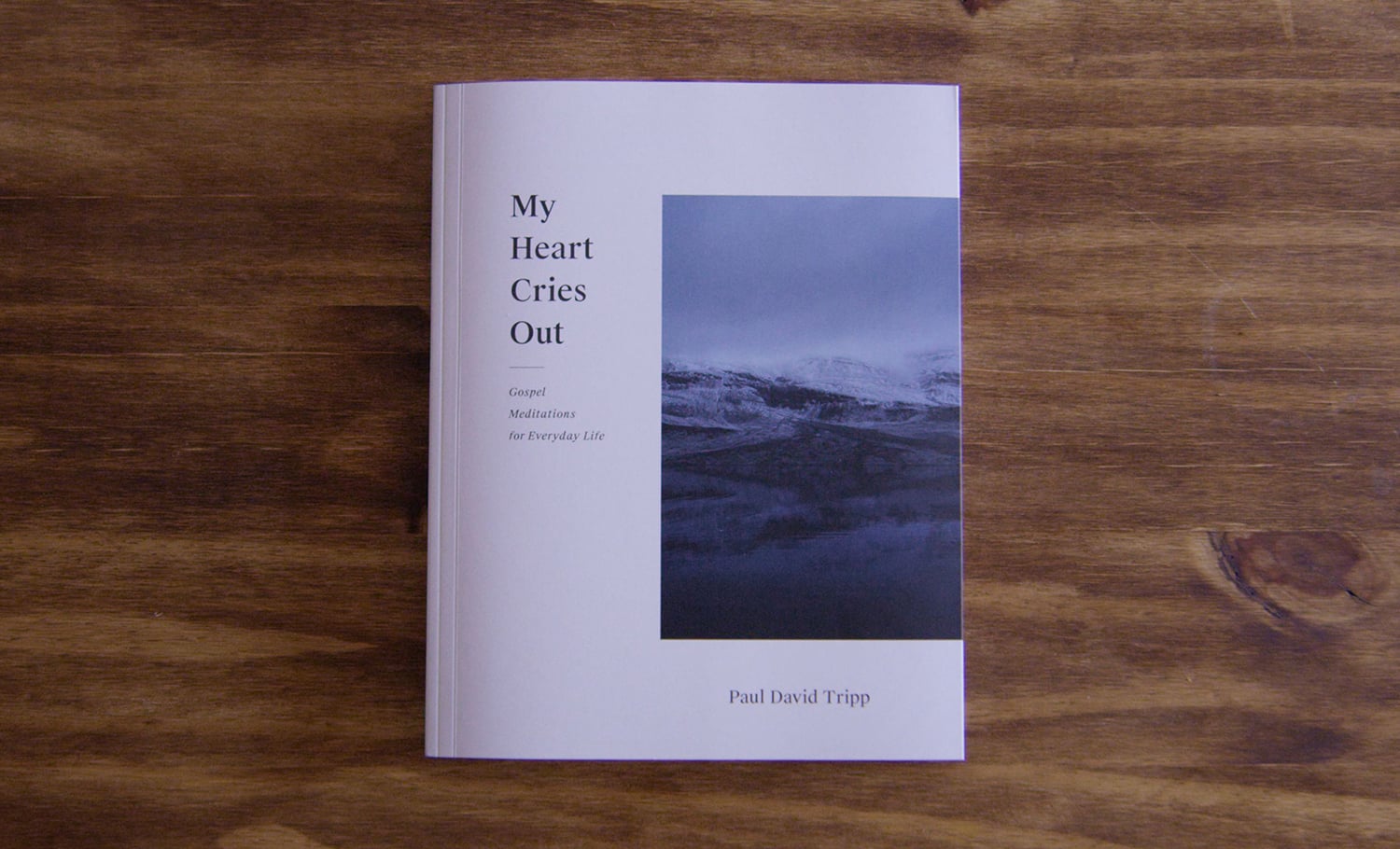 Image with missing alt attribute found on paultripp.com