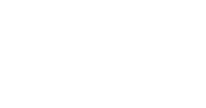 Image with missing alt attribute found on a-es.eu