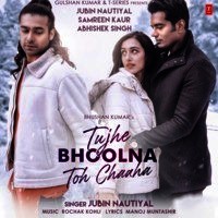 Tujhe Bhoolna Toh Chaaha