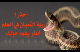 صورة الثعابين في المنام , تفسير حلم الثعابين