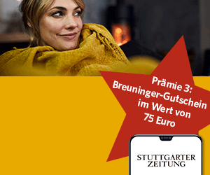 Image with missing alt attribute found on stuttgarter-zeitung.de