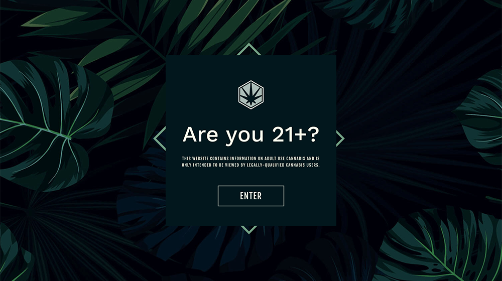 Image with missing alt attribute found on ageverify.co