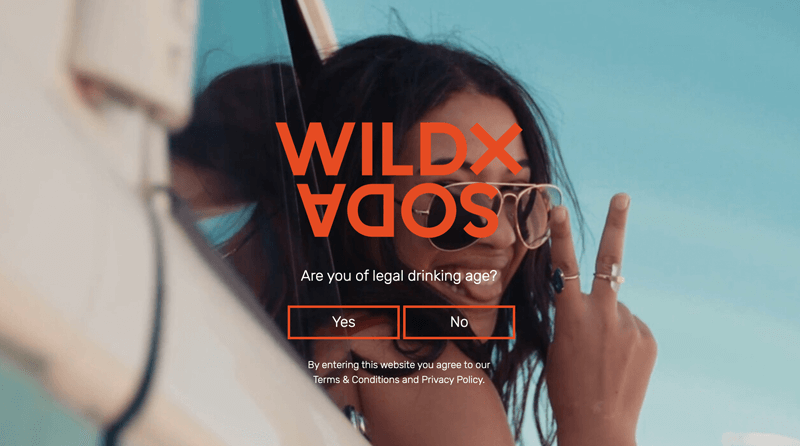 Image with missing alt attribute found on ageverify.co