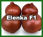 Image with missing alt attribute found on freshplaza.it