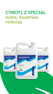 Image with missing alt attribute found on freshplaza.it