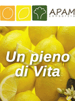 Image with missing alt attribute found on freshplaza.it