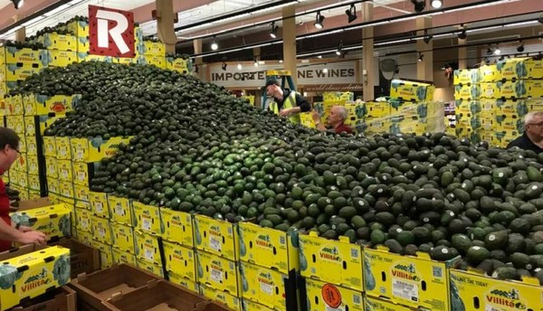 Image with missing alt attribute found on freshplaza.com