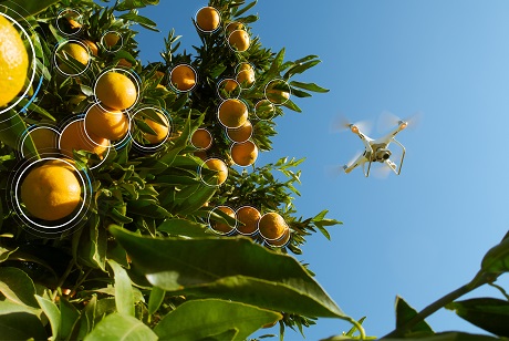 Image with missing alt attribute found on freshplaza.com