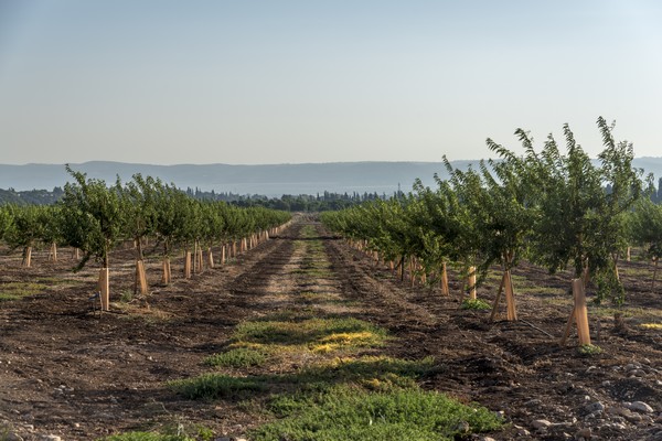 Image with missing alt attribute found on freshplaza.com