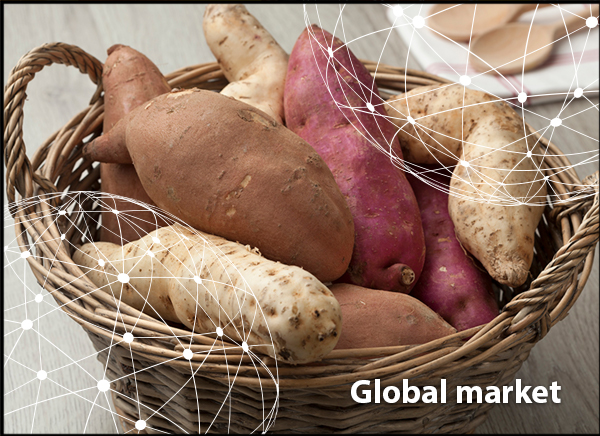 Image with missing alt attribute found on freshplaza.com