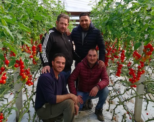 Image with missing alt attribute found on freshplaza.it