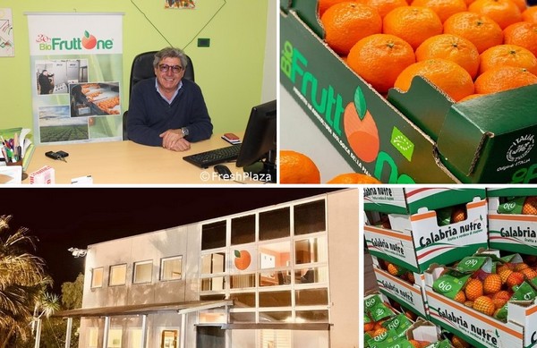 Image with missing alt attribute found on freshplaza.it