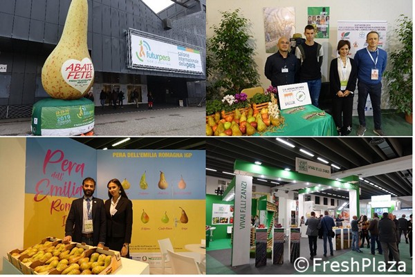 Image with missing alt attribute found on freshplaza.it