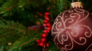 Image with missing alt attribute found on aggienetwork.com