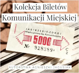 Image with missing alt attribute found on agnieszkajagusiak.pl