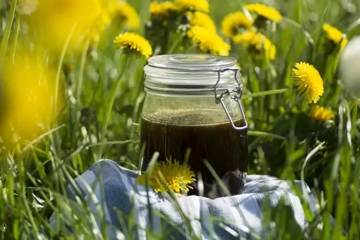 Image with missing alt attribute found on agnieszkajagusiak.pl