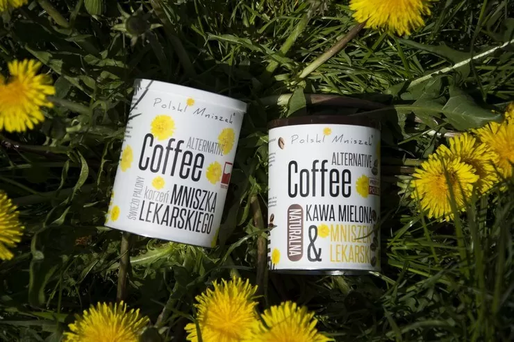 Image with missing alt attribute found on agnieszkajagusiak.pl