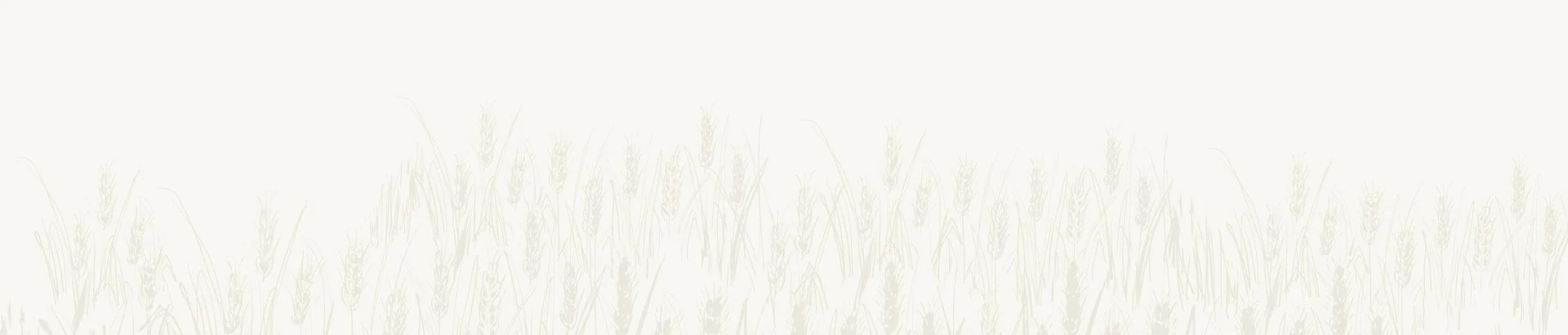 Image with missing alt attribute found on agrisource.co.in