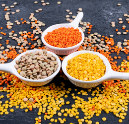 Image with missing alt attribute found on agrisource.co.in