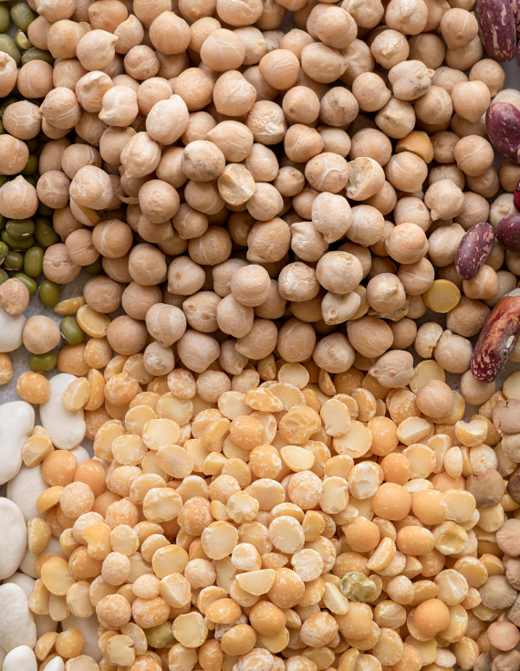 Image with missing alt attribute found on agrisource.co.in