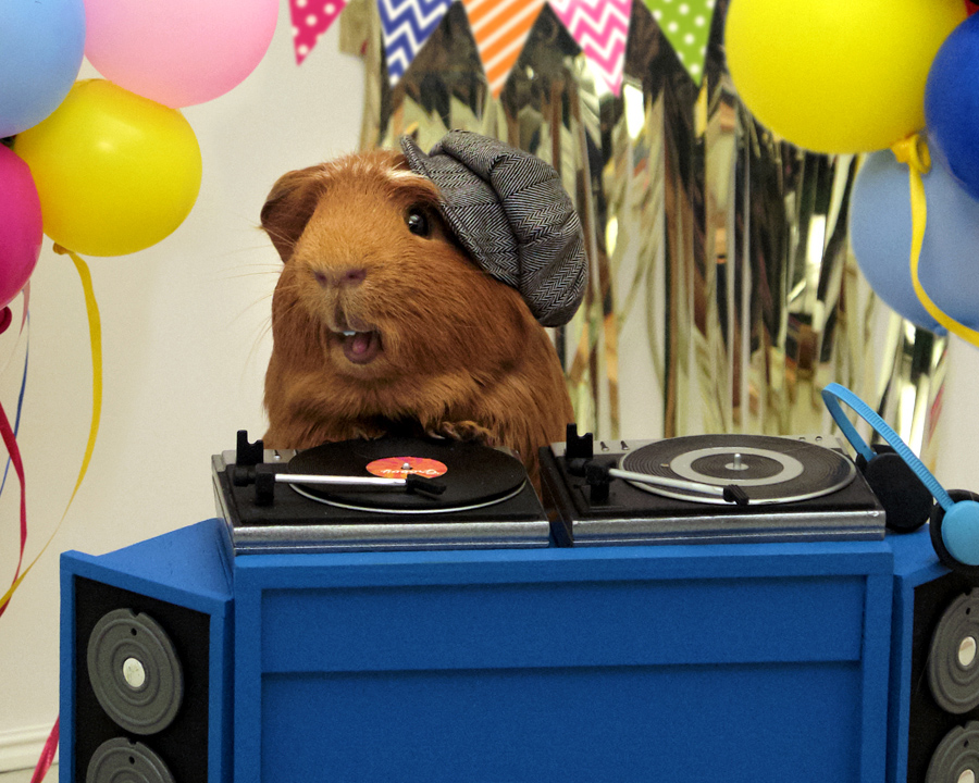 Image with missing alt attribute found on bluemountain.com