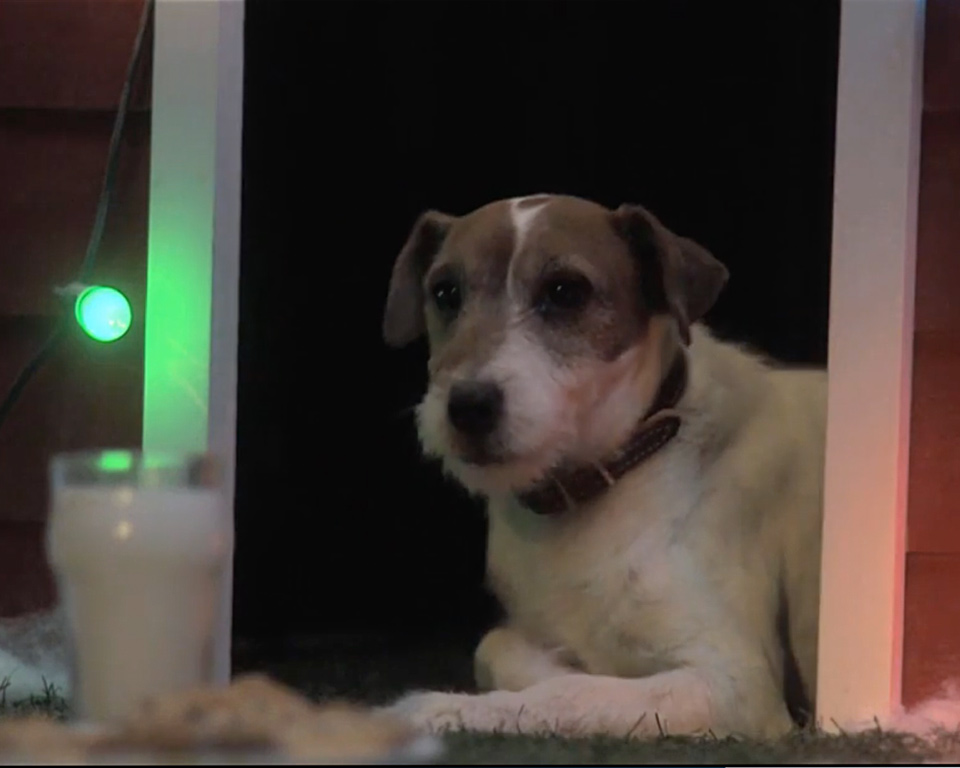 Image with missing alt attribute found on bluemountain.com