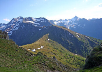 Image with missing alt attribute found on albertonews.com