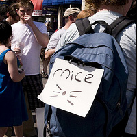 Image with missing alt attribute found on alexhays.com