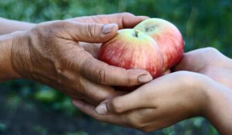 Rüyada Cömertlik Görmek