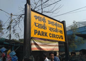 escorts in Noida Sec-62 Escorts