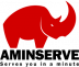 AMinServe