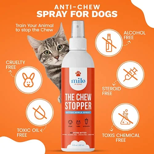 Amazon Product Photographer