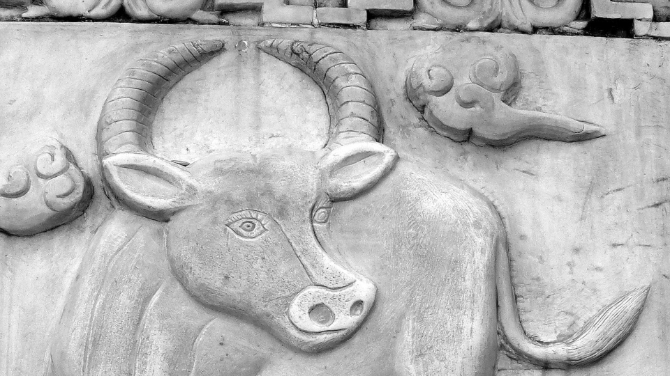 2021 Rok kovov&eacute;ho buvola - &Uacute;SPĚCH