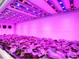 Image with missing alt attribute found on anhsangvacuocsong.vn