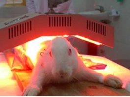 Image with missing alt attribute found on anhsangvacuocsong.vn