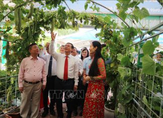 Image with missing alt attribute found on anhsangvacuocsong.vn