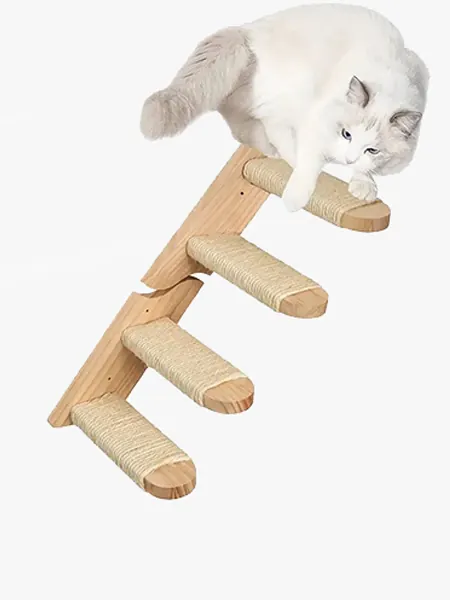 Image with missing alt attribute found on animimi.com