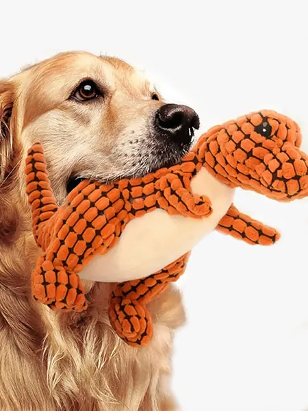 Image with missing alt attribute found on animimi.com