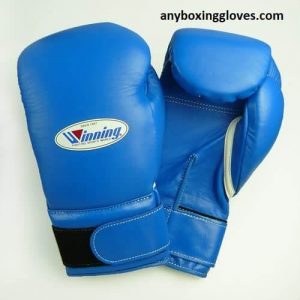 best boxing gloves