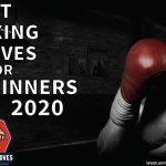 Top 10 Best Boxing Gloves for Beginners | [March 2021]