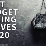 BEST BUDGET BOXING GLOVES 2021 -  [ March Update ]