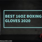 10 BEST 16oz BOXING GLOVES 2021 [March Update]