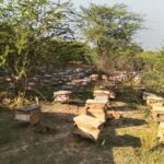 Image with missing alt attribute found on aravalihoney.com