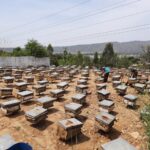 Image with missing alt attribute found on aravalihoney.com