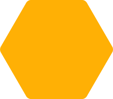 Image with missing alt attribute found on aravalihoney.com