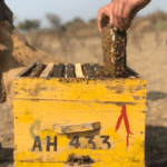 bulk-natural-honey-manufacturer-supplier