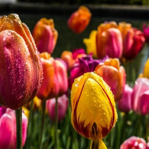 Image with missing alt attribute found on archzine.net