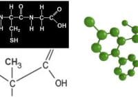 residuos de amino&aacute;cidos
